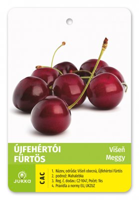 Višeň ÚJFEHÉRTOI FÜRTÖS