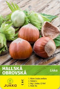 Líska keřová HALLSKÁ