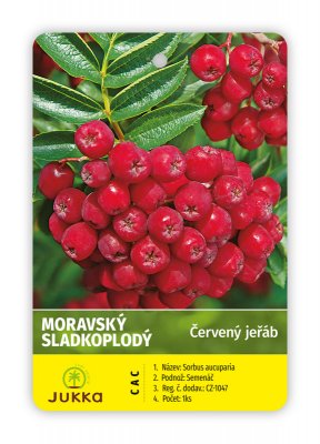 Jeřáb MORAVSKÝ SLADKOPLODÝ