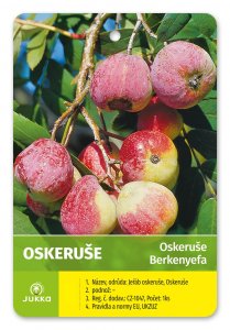 Oskeruše 40-60 cm - kontejner