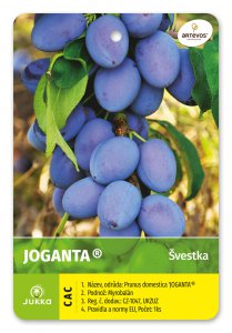Švestka JOGANTA