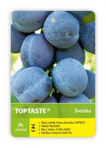 Švestka TOPTASTE