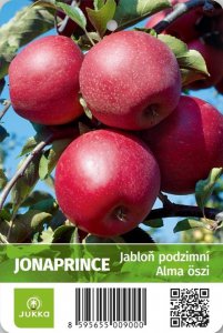 Jabloň JONAPRINCE - kontejner