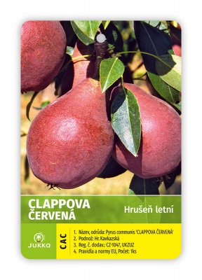 Hrušeň CLAPPOVA ČERVENÁ