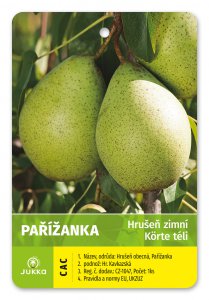 Hrušeň PAŘÍŽANKA