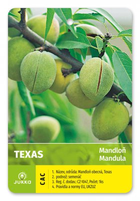 Mandloň TEXAS