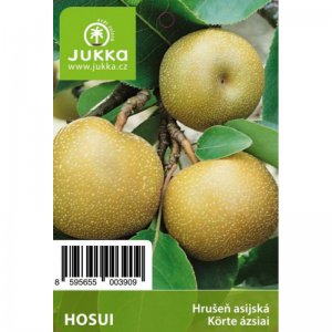 Asijská hrušeň HOSUI - kontejner