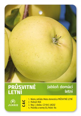 Jabloň PRŮSVITNÉ LETNÍ (JAKUBKY)