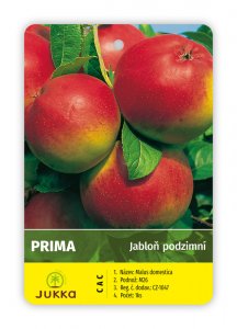 Jabloň PRIMA - kontejner