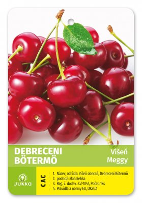 Višeň DEBRECENI BÖTERMO - kontejner
