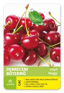 Višeň DEBRECENI BÖTERMO - kontejner